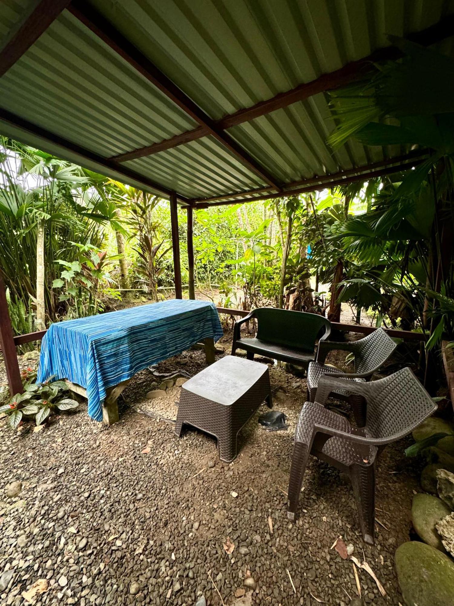 Hidden Jungle Beach House Puerto Viejo de Talamanca Esterno foto