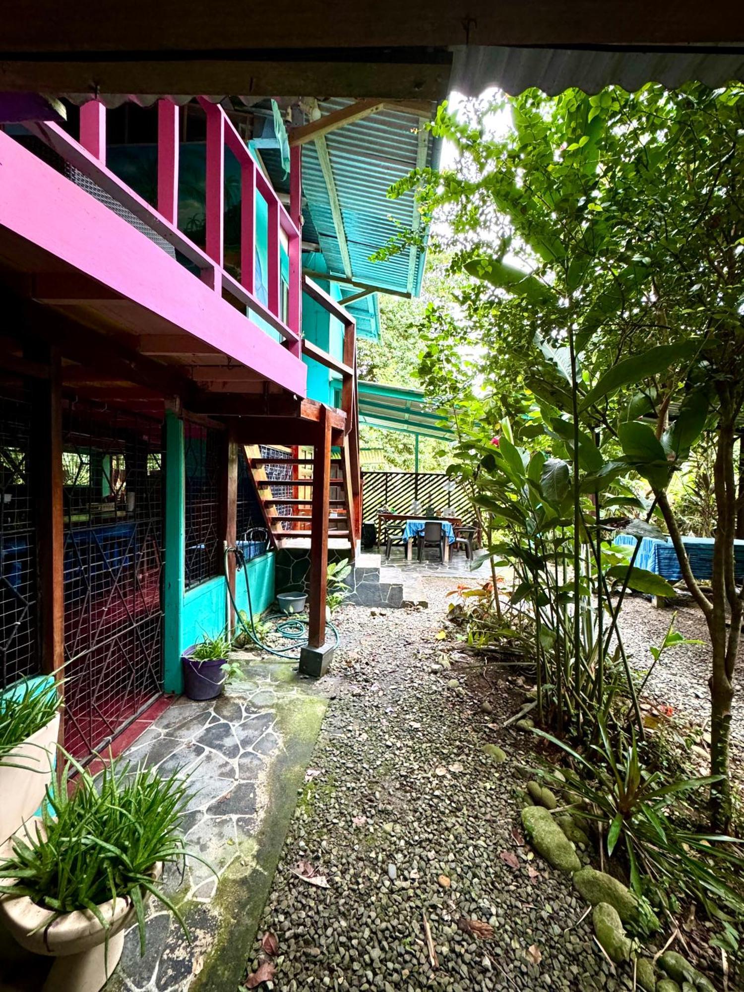 Hidden Jungle Beach House Puerto Viejo de Talamanca Esterno foto